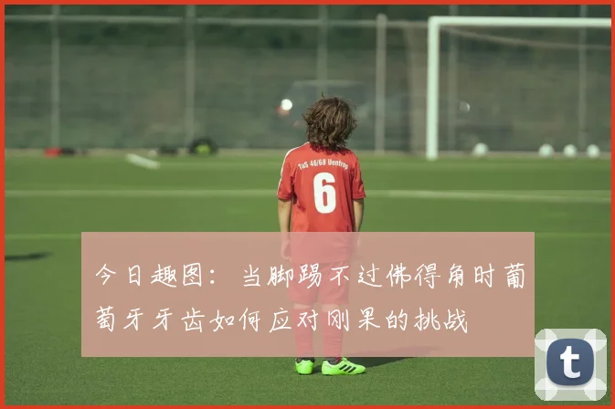 今日趣图：当脚踢不过佛得角时葡萄牙牙齿如何应对刚果的挑战