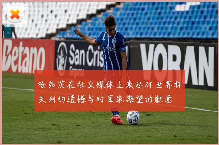 哈弗茨在社交媒体上表达对世界杯失利的遗憾与对国家期望的歉意